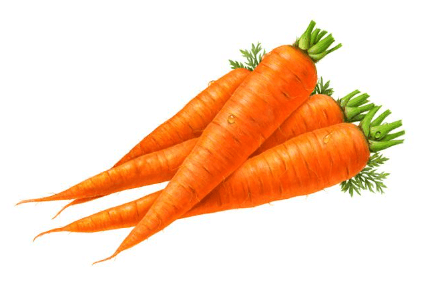 Clipart:9o7ga-Miubw= Carrot