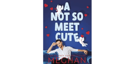 A Not so Meet Cute: the Steamy and Addictive No. 1 Bestseller Inspired by Pretty Woman