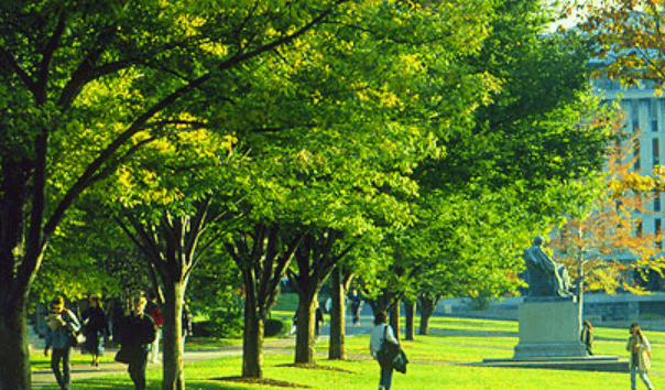 Logo:1rodw_Rfnyw= Cornell University