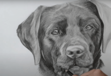 The "Cute:-4m9c9_Ygcs= Dog Drawing" exemplifies the intricate balance between artistic technique and emotional