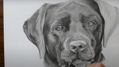 The "Cute:-4m9c9_Ygcs= Dog Drawing" exemplifies the intricate balance between artistic technique and emotional