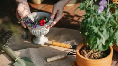 maximize growth with tools