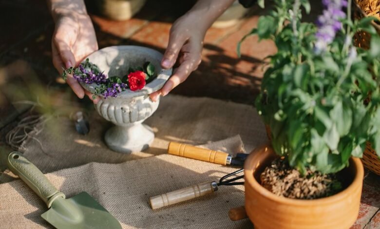 maximize growth with tools